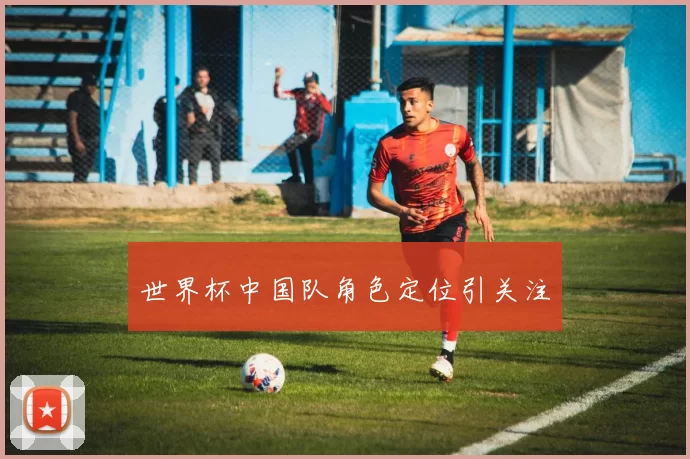 世界杯中国队角色定位引关注
