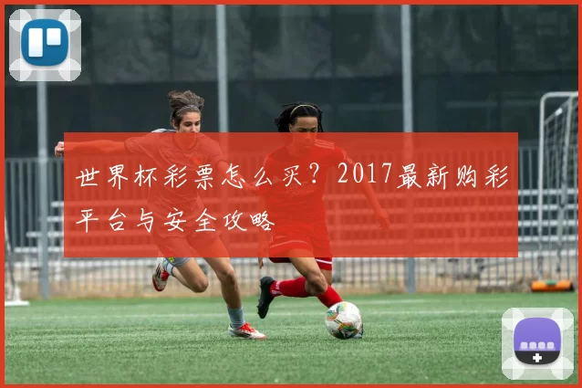 世界杯彩票怎么买？2017最新购彩平台与安全攻略
