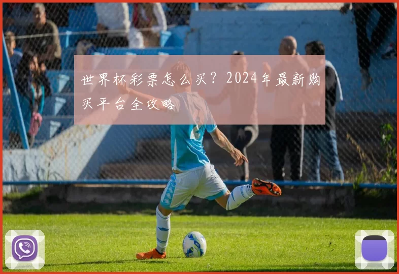 世界杯彩票怎么买？2024年最新购买平台全攻略