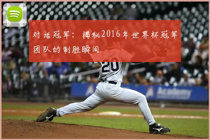 对话冠军：揭秘2016年世界杯冠军团队的制胜瞬间