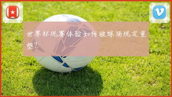 世界杯观赛体验如何被球场规定重塑？