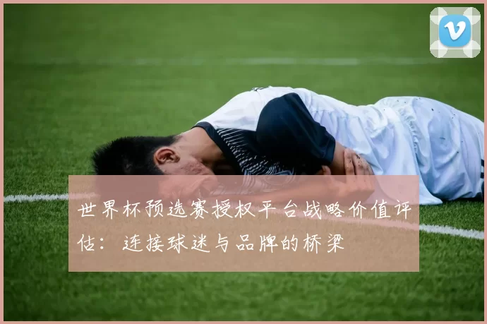 世界杯预选赛授权平台战略价值评估：连接球迷与品牌的桥梁