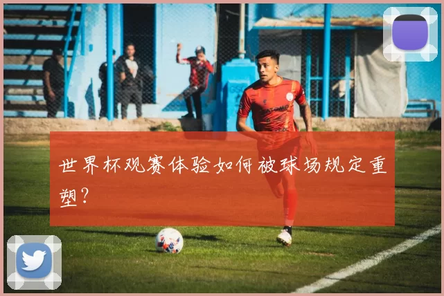 世界杯观赛体验如何被球场规定重塑？