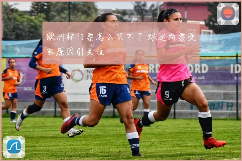 欧洲杯门票怎么买不了 球迷购票受阻原因引关注
