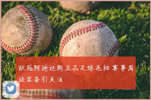 欧冠阿迪达斯正品足球亮相 赛事周边装备引关注