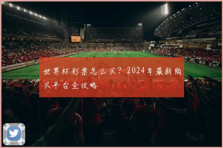 世界杯彩票怎么买?2024年最新购买平台全攻略